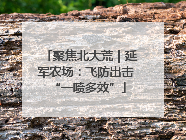 聚焦北大荒｜延军农场：飞防出击 “一喷多效”
