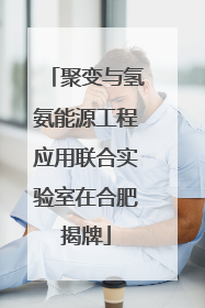 聚变与氢氨能源工程应用联合实验室在合肥揭牌