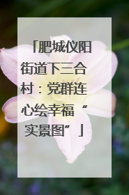 肥城仪阳街道下三合村：党群连心绘幸福“实景图”