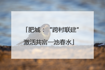 肥城：“跨村联建”激活共富一池春水