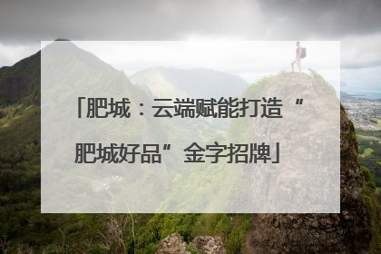 肥城：云端赋能打造“肥城好品”金字招牌