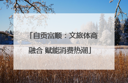 自贡富顺：文旅体商融合 赋能消费热潮