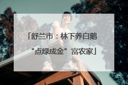 舒兰市：林下养白鹅 “点绿成金”富农家