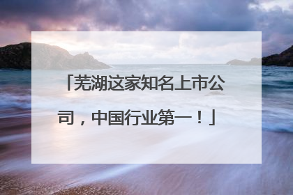 芜湖这家知名上市公司，中国行业第一！