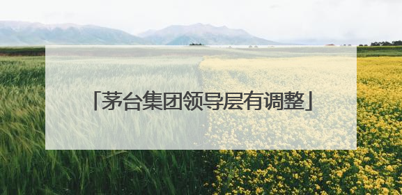 茅台集团领导层有调整