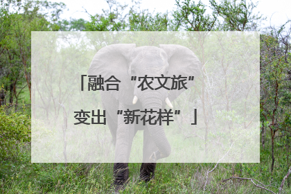 融合“农文旅” 变出“新花样”
