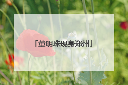 董明珠现身郑州