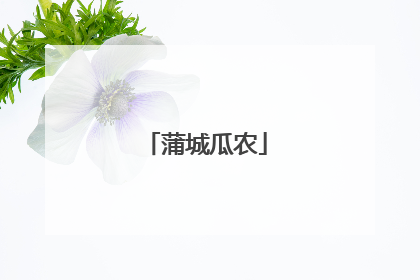 蒲城瓜农