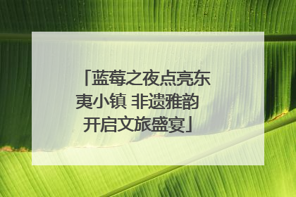 蓝莓之夜点亮东夷小镇 非遗雅韵开启文旅盛宴