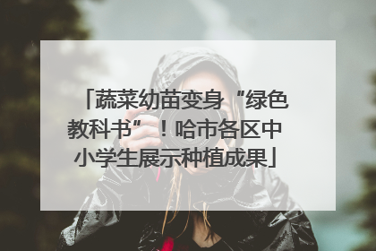 蔬菜幼苗变身“绿色教科书”！哈市各区中小学生展示种植成果