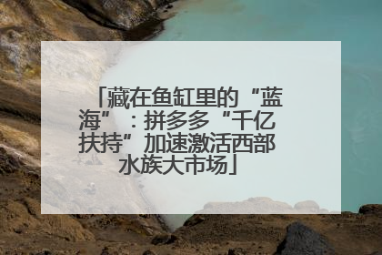 藏在鱼缸里的“蓝海”：拼多多“千亿扶持”加速激活西部水族大市场