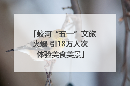 蛟河“五一”文旅火爆 引18万人次体验美食美景