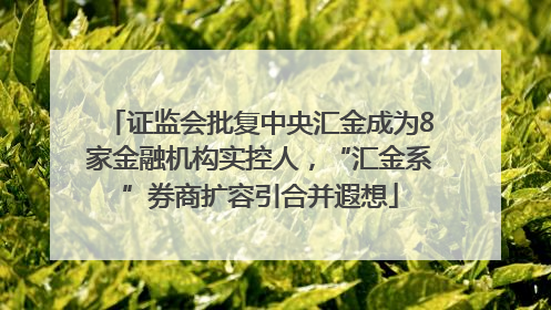 证监会批复中央汇金成为8家金融机构实控人，“汇金系”券商扩容引合并遐想