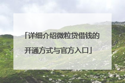 详细介绍微粒贷借钱的开通方式与官方入口
