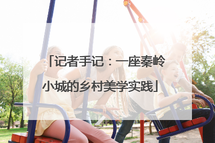 记者手记：一座秦岭小城的乡村美学实践