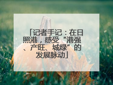 记者手记：在日照港，感受“港强、产旺、城绿”的发展脉动
