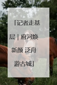 记者走基层｜府河焕新颜 泛舟游古城