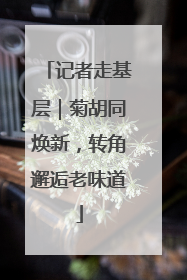 记者走基层｜菊胡同焕新，转角邂逅老味道