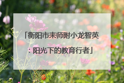 衡阳市耒师附小龙智英：阳光下的教育行者