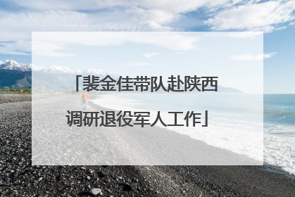 裴金佳带队赴陕西调研退役军人工作