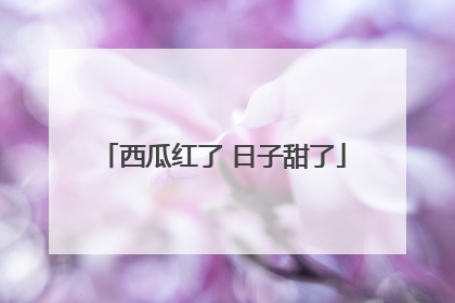西瓜红了 日子甜了