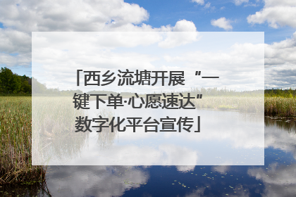 西乡流塘开展“一键下单·心愿速达”数字化平台宣传