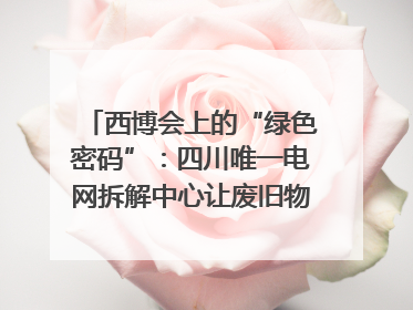 西博会上的“绿色密码”：四川唯一电网拆解中心让废旧物资“重生”｜西博寻“新”记