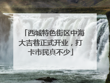西城特色街区中海大吉巷正式开业，打卡市民真不少