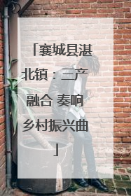 襄城县湛北镇：三产融合 奏响乡村振兴曲