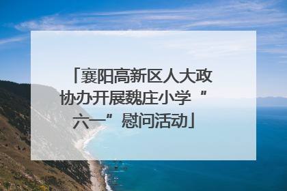 襄阳高新区人大政协办开展魏庄小学“六一”慰问活动