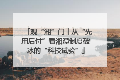 观“湘”门丨从“先用后付”看湘潭制度破冰的“科技试验”