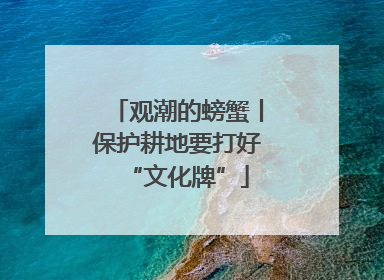 观潮的螃蟹丨保护耕地要打好“文化牌”