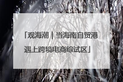 观海潮｜当海南自贸港遇上跨境电商综试区