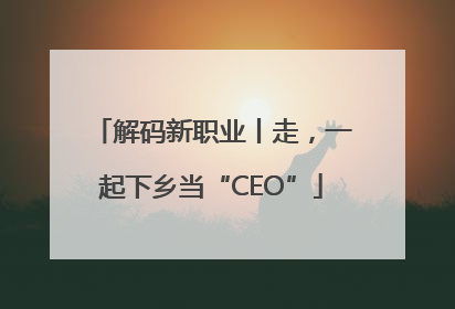解码新职业丨走，一起下乡当“CEO”