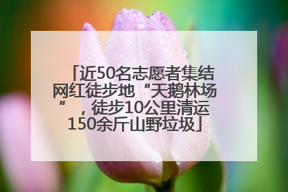 近50名志愿者集结网红徒步地“天鹅林场”，徒步10公里清运150余斤山野垃圾