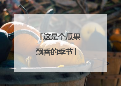 这是个瓜果飘香的季节