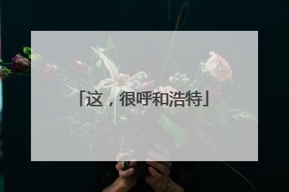 这，很呼和浩特