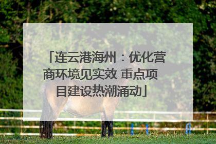 连云港海州：优化营商环境见实效 重点项目建设热潮涌动