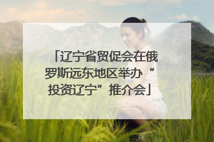 辽宁省贸促会在俄罗斯远东地区举办“投资辽宁”推介会