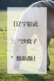 辽宁彰武：“沙窝子”焕新颜