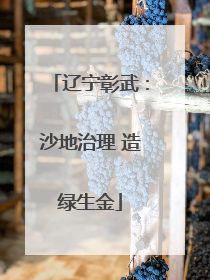 辽宁彰武：沙地治理 造绿生金