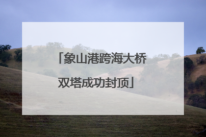 象山港跨海大桥双塔成功封顶