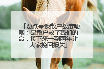 贾跃亭谈散户数度哽咽：是散户救了我们的命，接下来一到两年让大家挽回损失