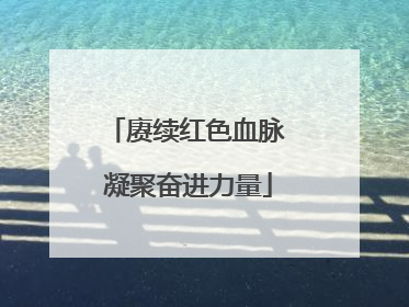 赓续红色血脉 凝聚奋进力量