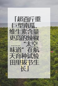超百斤重巨型南瓜、维生素含量更高的辣椒……“太空味道”在航天育种试验田里拔节生长
