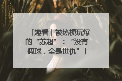 趣看｜被热梗玩爆的“苏超”：“没有假球，全是世仇”