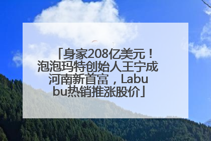身家208亿美元！泡泡玛特创始人王宁成河南新首富，Labubu热销推涨股价