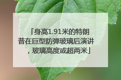 身高1.91米的特朗普在巨型防弹玻璃后演讲，玻璃高度或超两米
