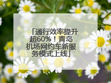 通行效率提升超60%！青岛机场网约车新服务模式上线