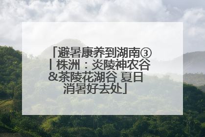 避暑康养到湖南③丨株洲：炎陵神农谷&茶陵花湖谷 夏日消暑好去处
